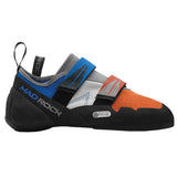 Agama Orange