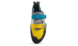 Agama Yellow
